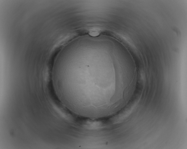 X0000114420311200910161234