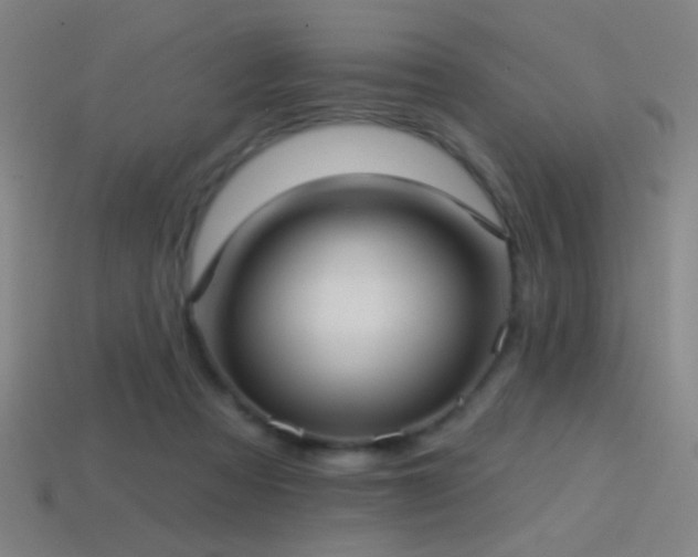 X0000114420313200910161234