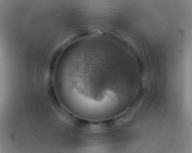 X0000114420314200910161234