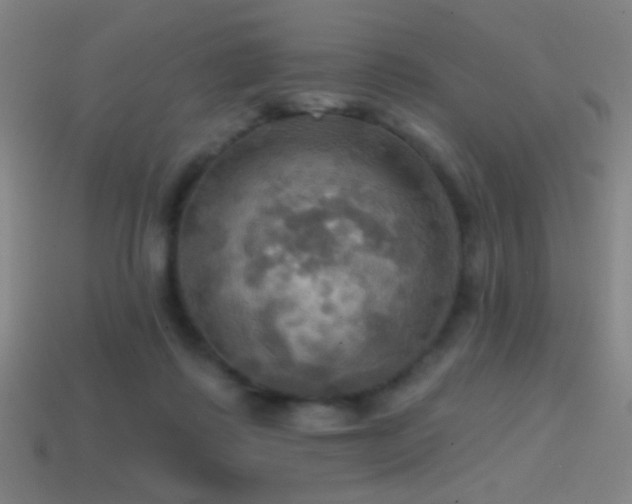 X0000114420315200910161234