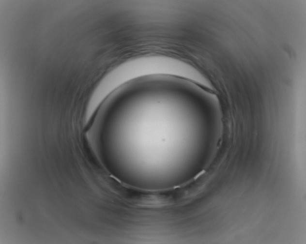 X0000114420316200910161234