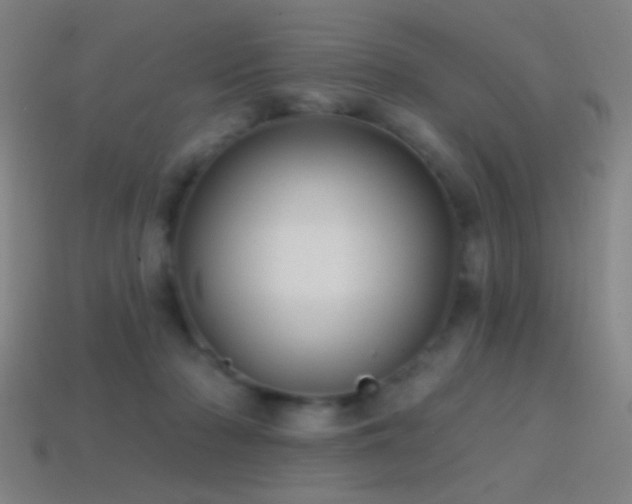 X0000114420318200910161234