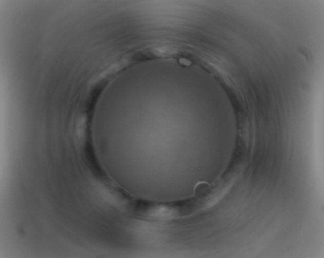X0000114420319200910161234