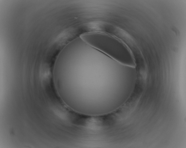 X0000114420320200910161234