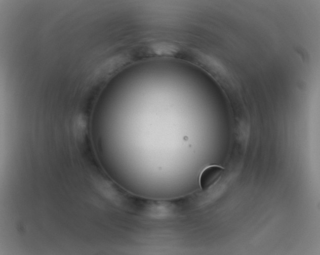 X0000114420321200910161234
