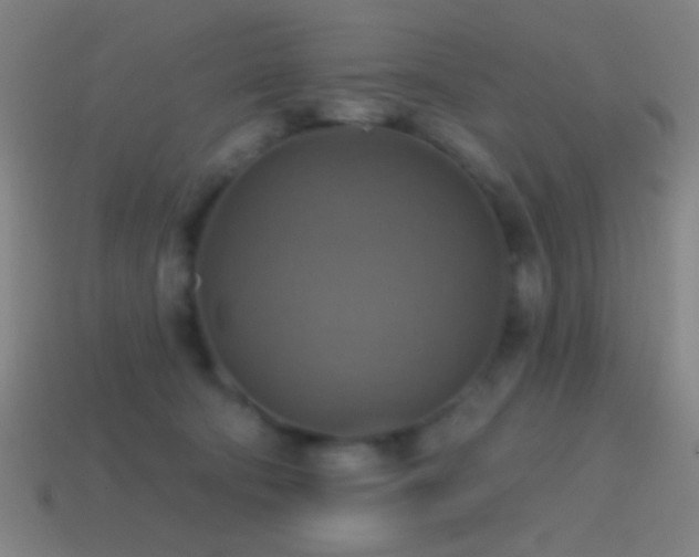 X0000114420322200910161234