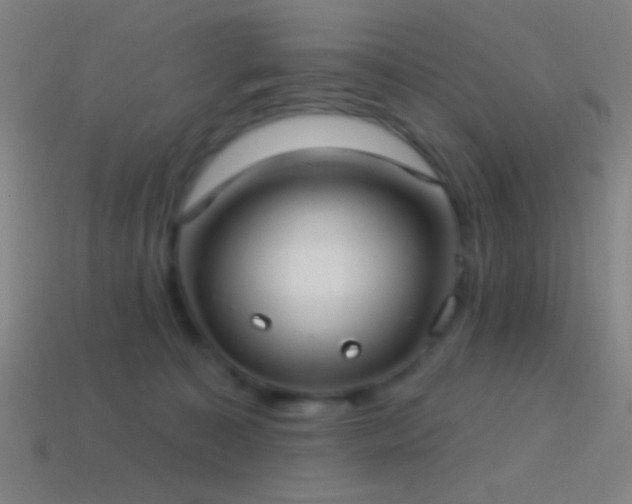X0000114420323200910161234