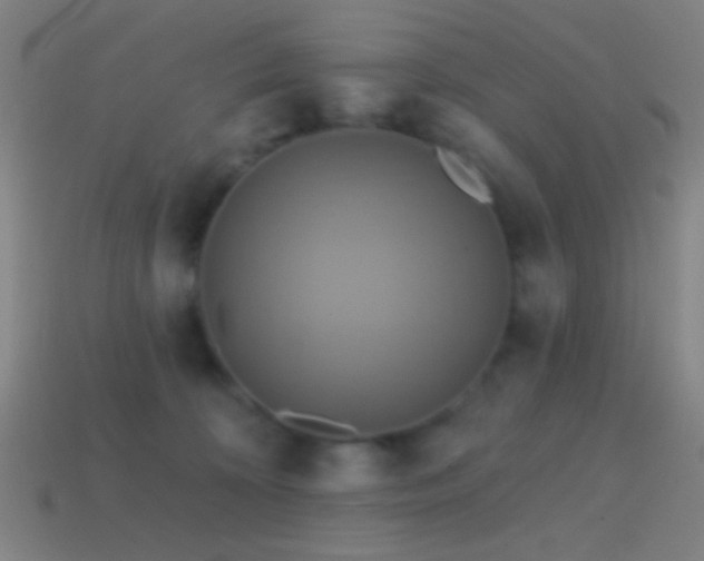 X0000114420324200910161234