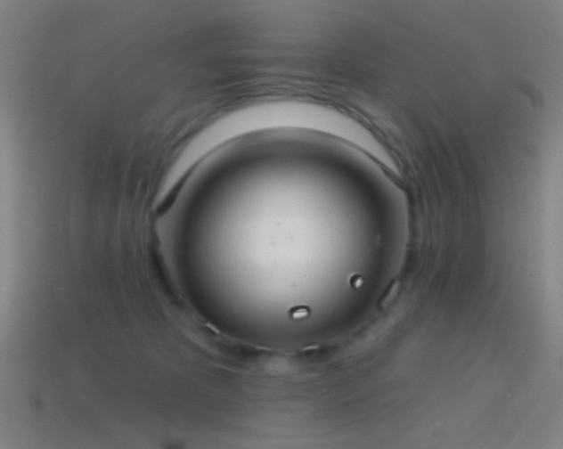 X0000114420325200910161234