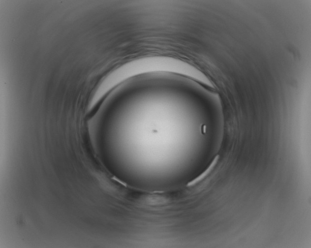 X0000114420327200910161234