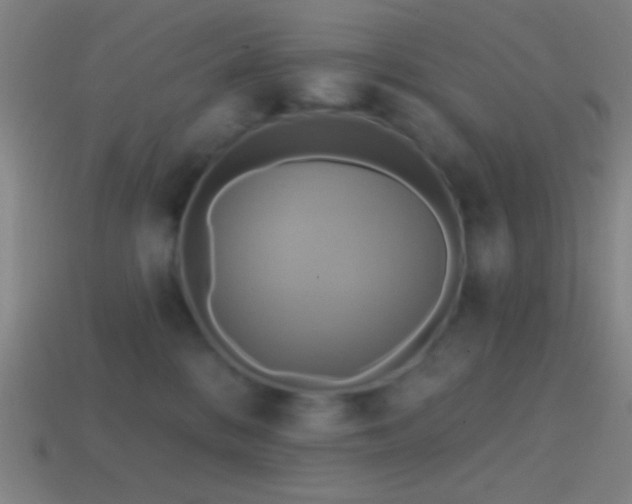 X0000114420328200910161234