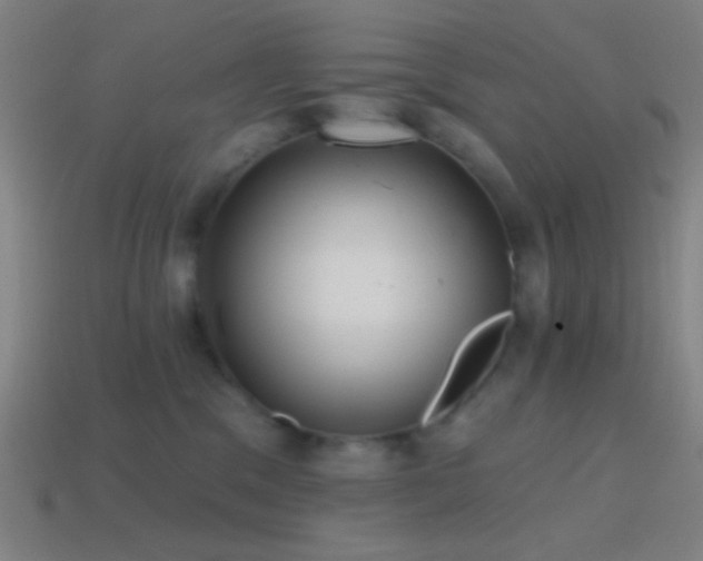X0000114420329200910161234