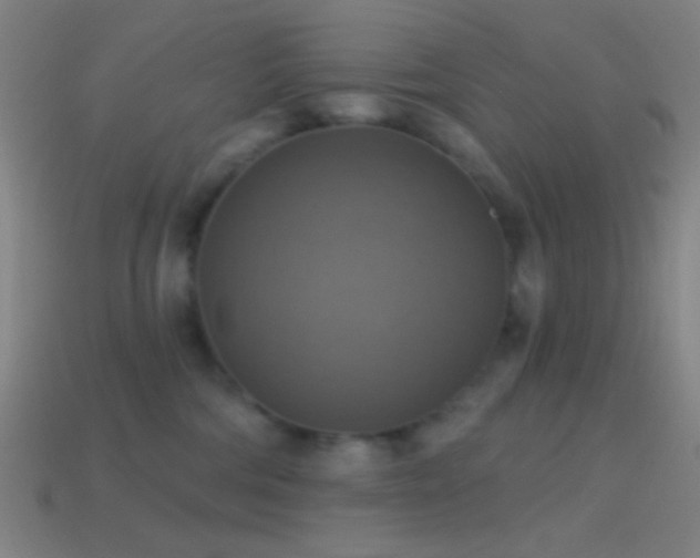 X0000114420330200910161234