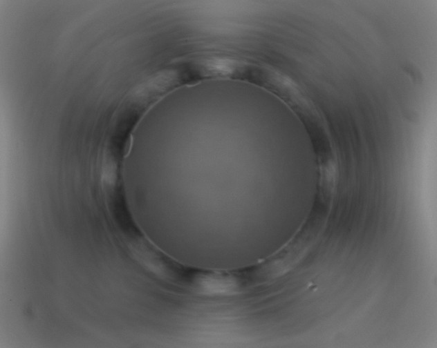 X0000114420331200910161234