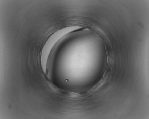 X0000114420333200910161234