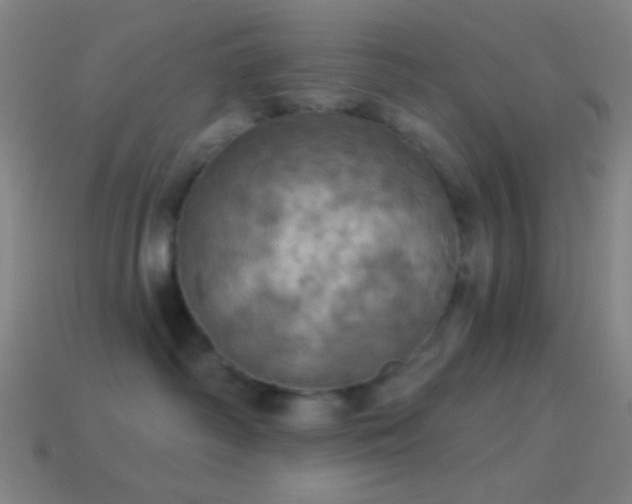 X0000114420334200910161234