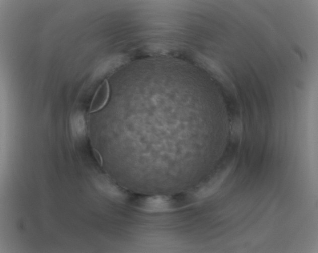 X0000114420335200910161234
