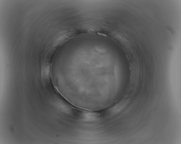 X0000114420336200910161234