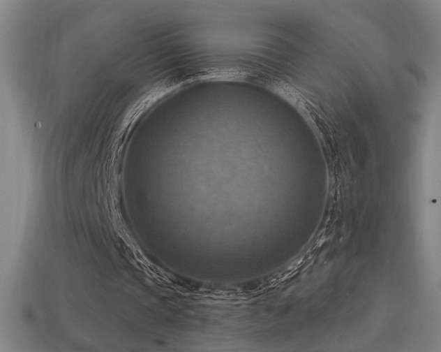X0000114420337200910161233