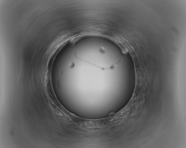 X0000114420338200910161233