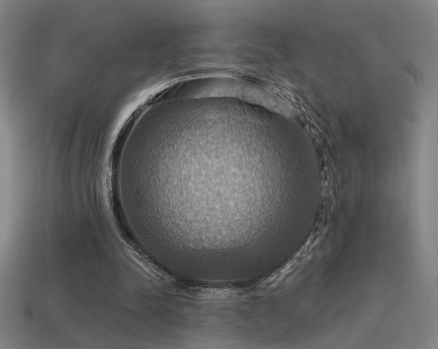 X0000114420342200910161233