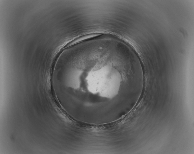 X0000114420345200910161233