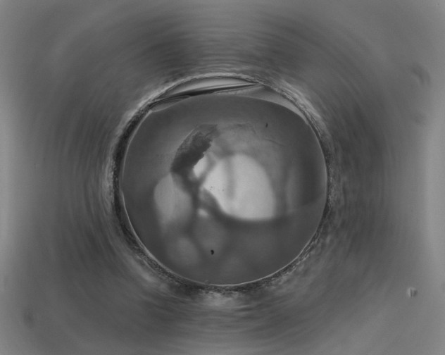 X0000114420346200910161233