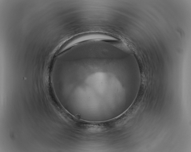 X0000114420347200910161233