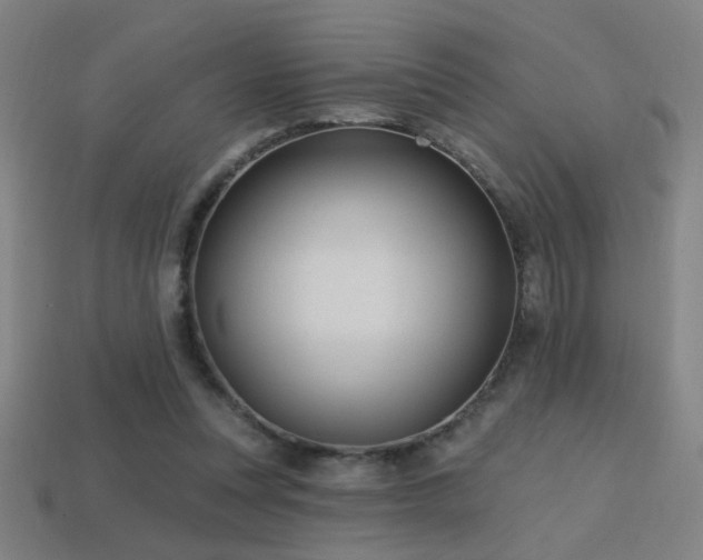 X0000114420351200910161233