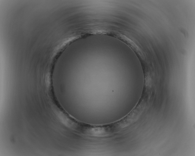 X0000114420353200910161233