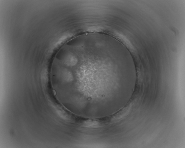 X0000114420354200910161233