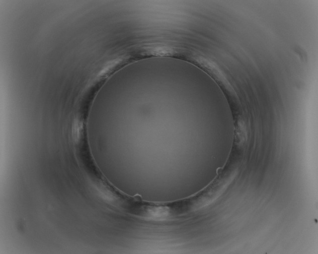 X0000114420355200910161233