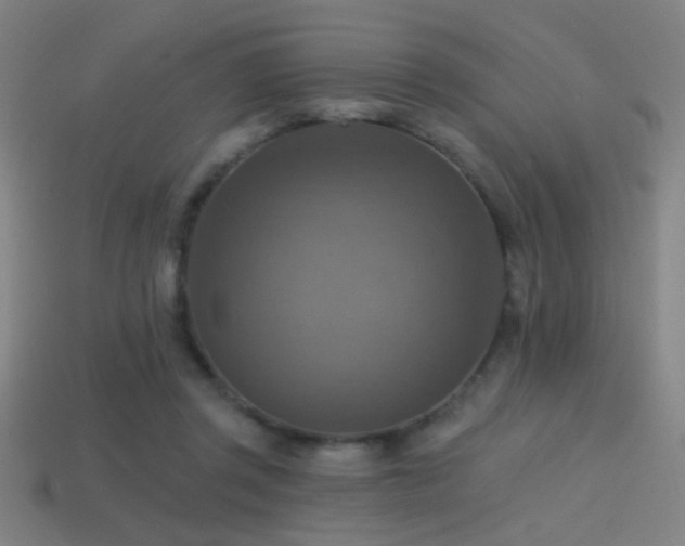X0000114420357200910161233