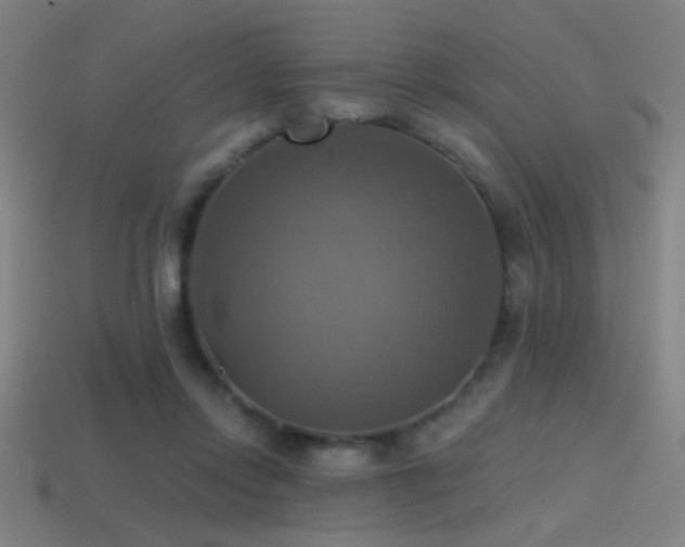 X0000114420358200910161233