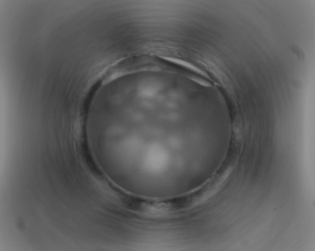 X0000114420359200910161233