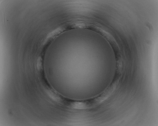 X0000114420361200910161233
