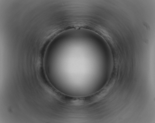 X0000114420362200910161233