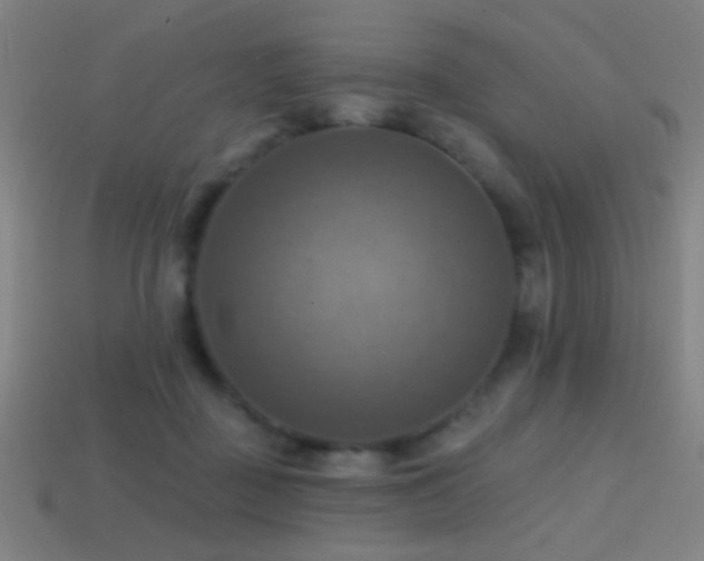 X0000114420363200910161233