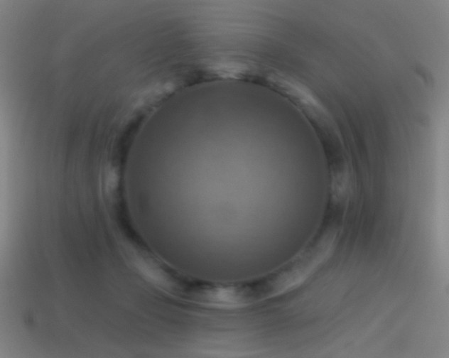 X0000114420365200910161233