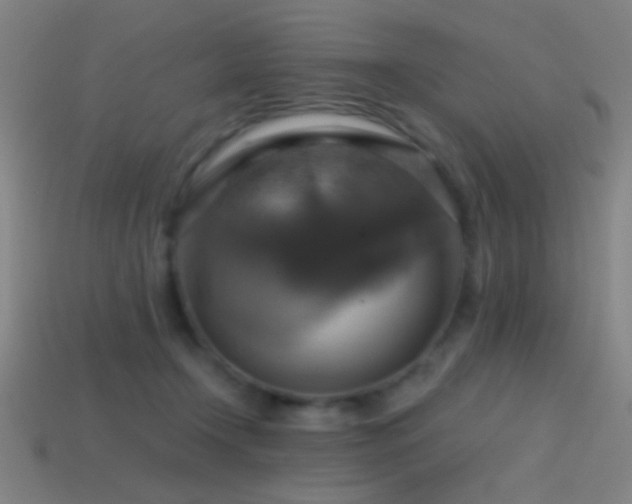 X0000114420366200910161233