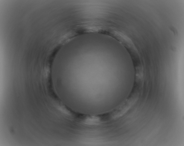 X0000114420369200910161233