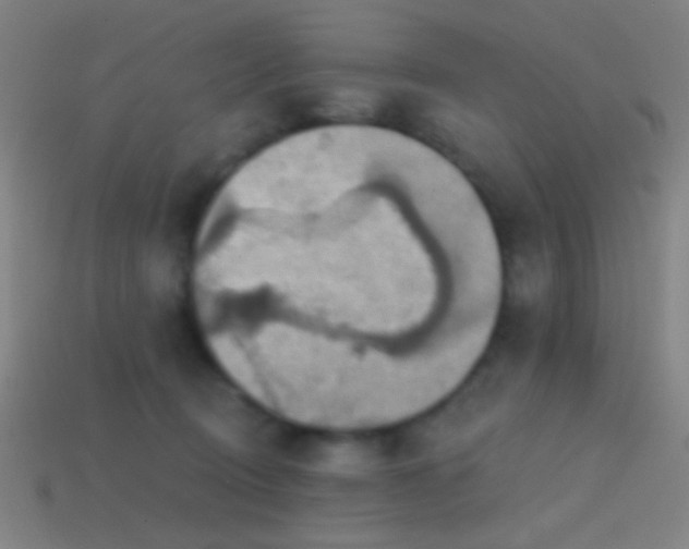 X0000114420370200910161233