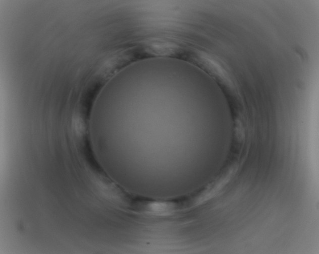 X0000114420371200910161233
