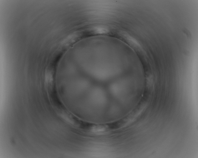 X0000114420373200910161233