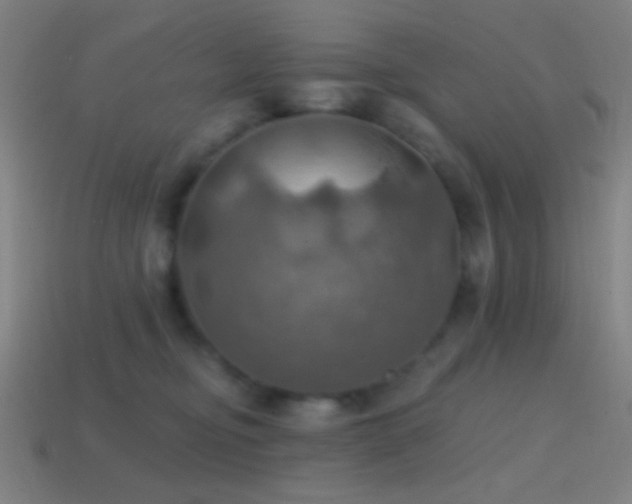X0000114420374200910161233