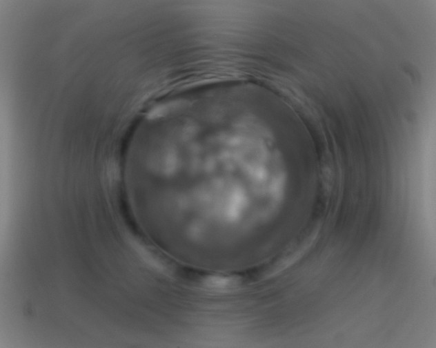 X0000114420375200910161233