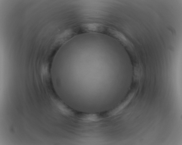 X0000114420377200910161233