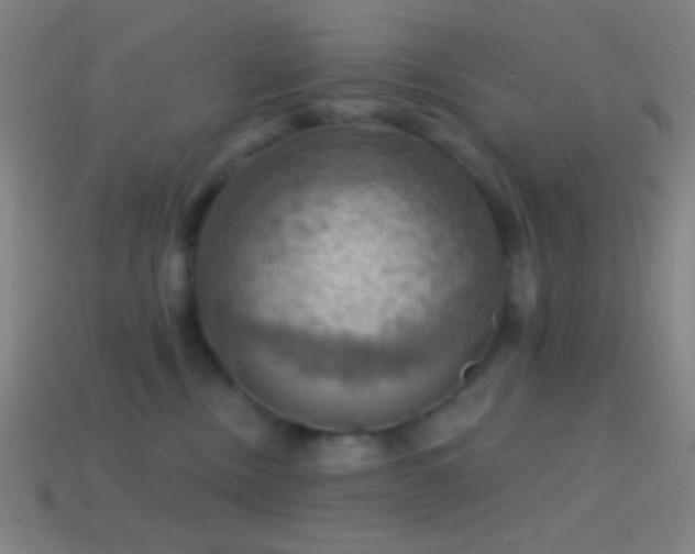X0000114420378200910161233