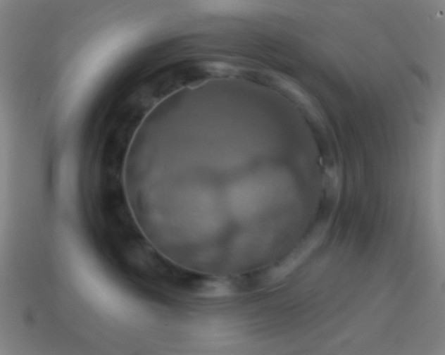 X0000114420381200910161234
