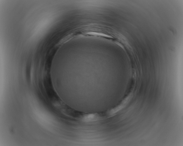 X0000114420382200910161234